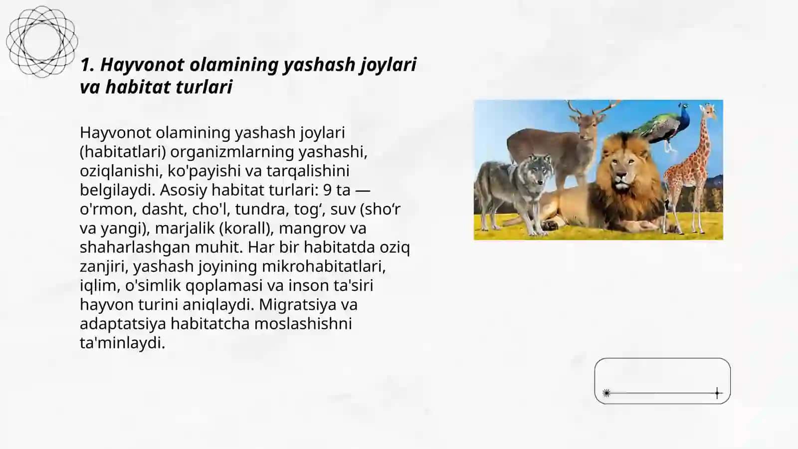 Hayvonot olami 3
