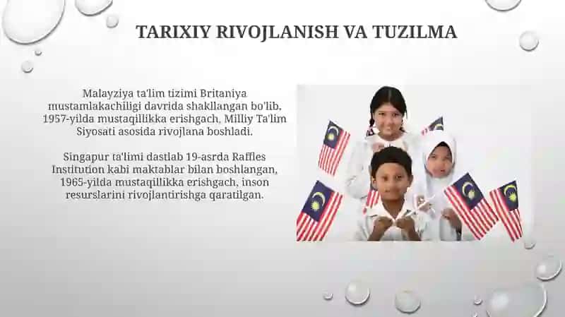 Malayziya va Singapur ta'lim tizimi 3