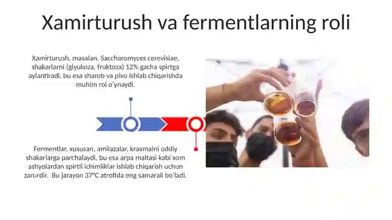 Alkogolli ichimliklar kimyosi 3