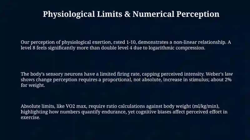 Physiological Limits & Numerical Perception 3