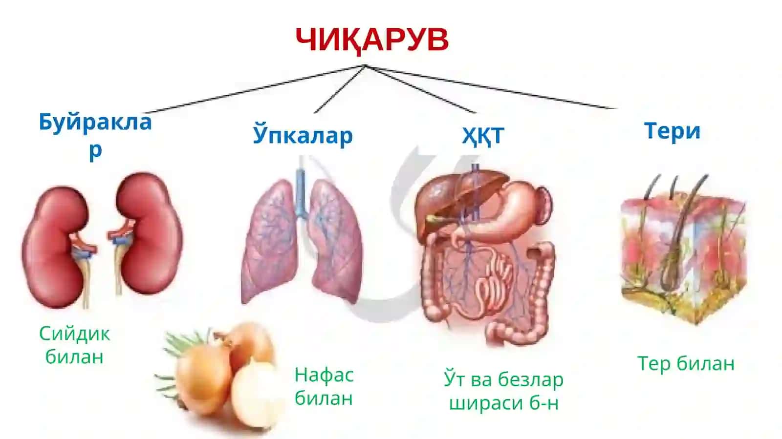 Айирув тизими 3