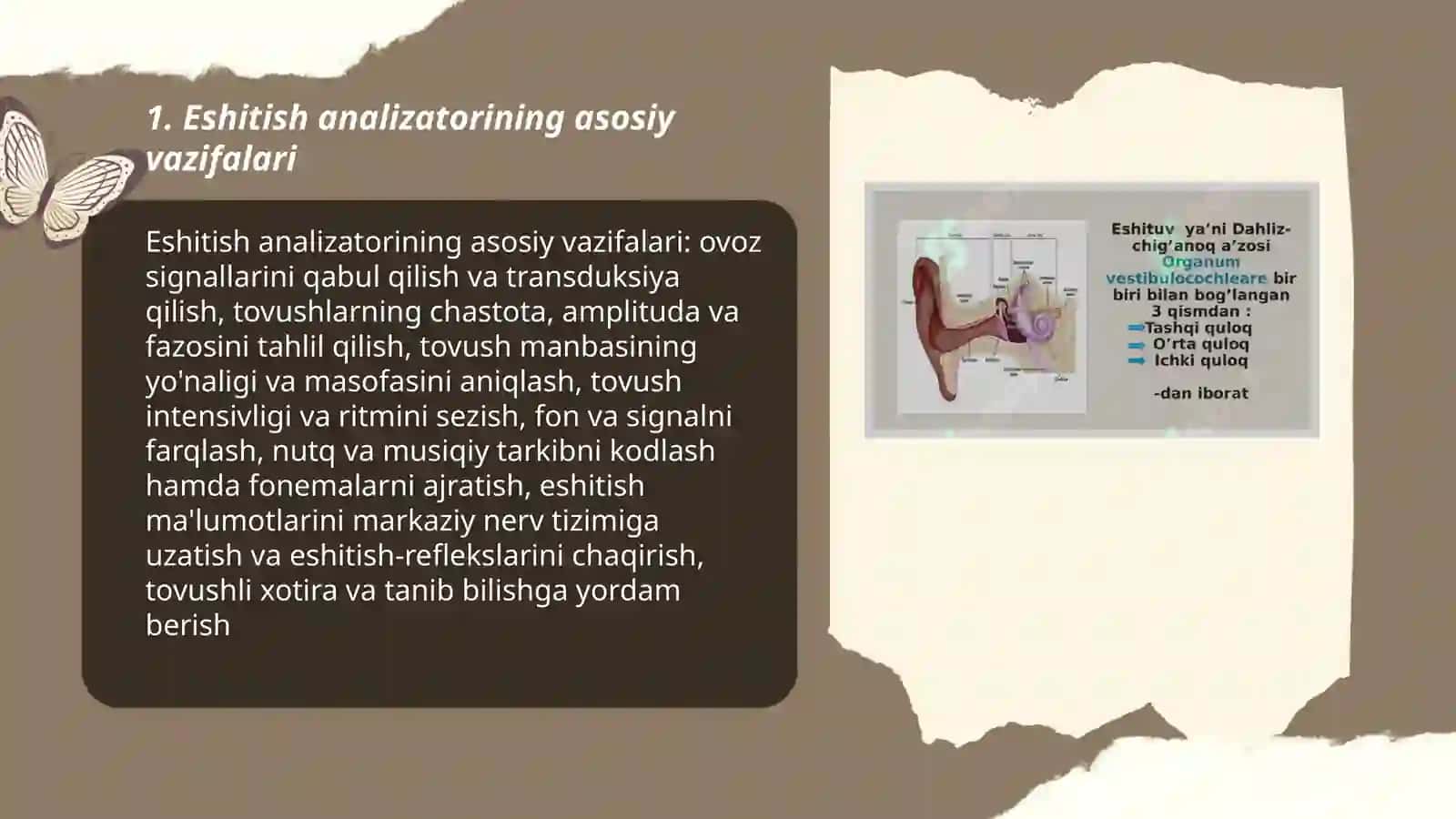 Eshitish analizatorining vazifasi 3