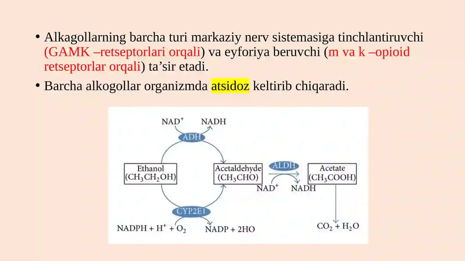 Etil spirti. Alkogolizm va uning asoratlari. 3