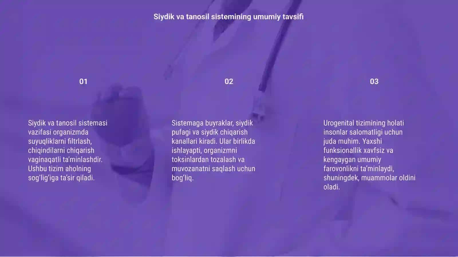 Siydik va tanosil sistemasi, sistema urogenitalia 3