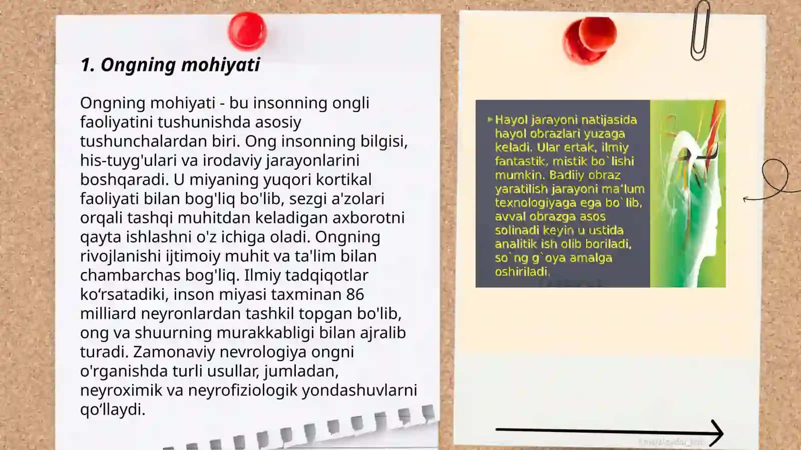 Ong haqida tushuncha 3