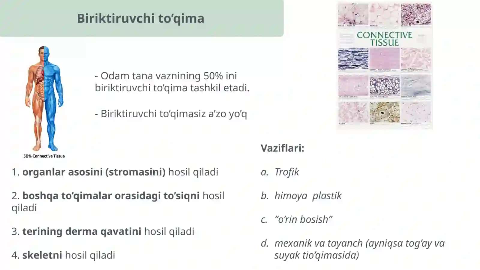 Asl biriktiruvchi toʻqima 3