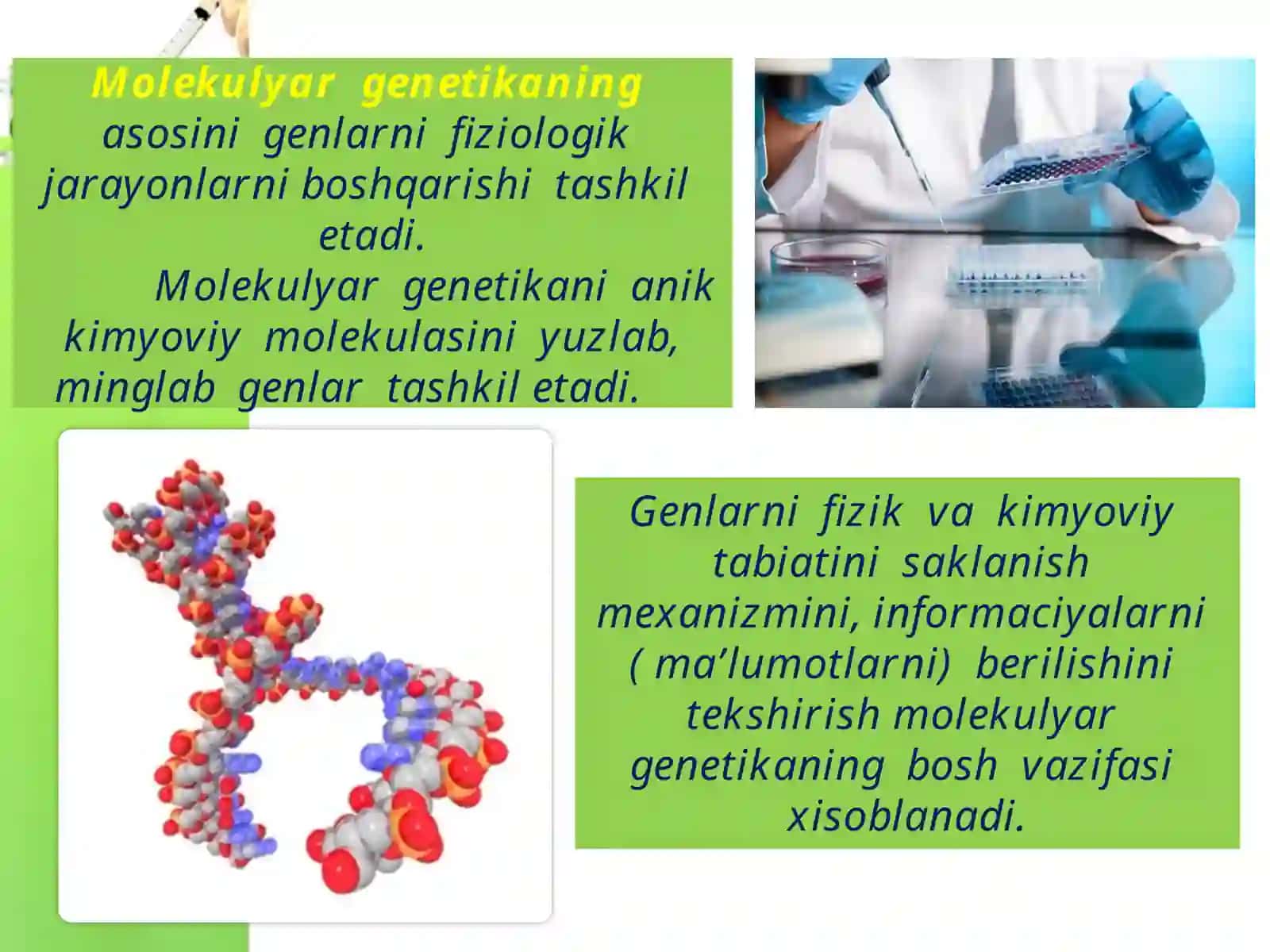 Molekulyar genetika: Irsiy qonunlar va ulardan foydalanish 3