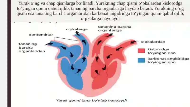 qonaylanish sistemasi 3-qism 3