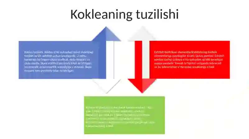 Eshitish Biofizikasi Elementlari 3
