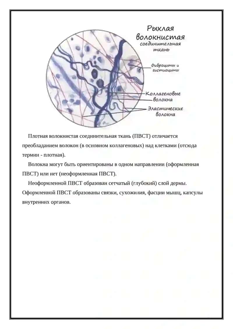 Костная ткань 3