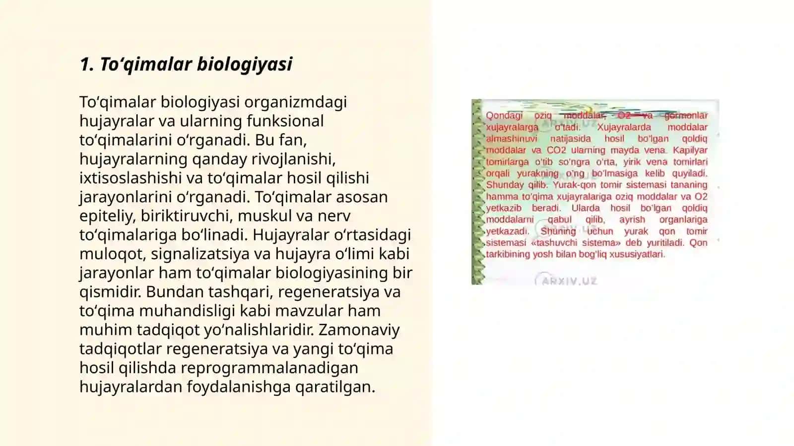 Toʻqimalar biologiyasi 3