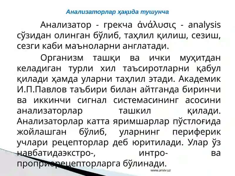 Анализаторларнинг тузилиши ва аҳамияти 3