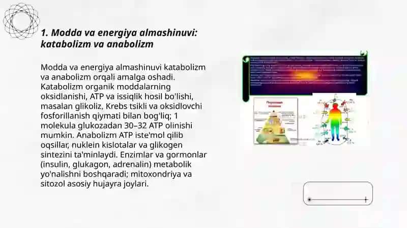 Modda va energiya almashinuvi, ovqatlanish, termoregulyatsiya va kolorimetriya 3