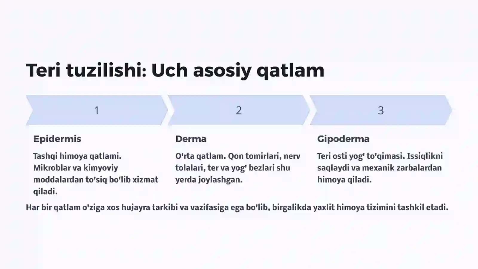 Ter bezlari va teri hosilalari 3