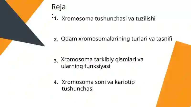 Odam xromosomalarining morfofunksional xususiyatlari 3