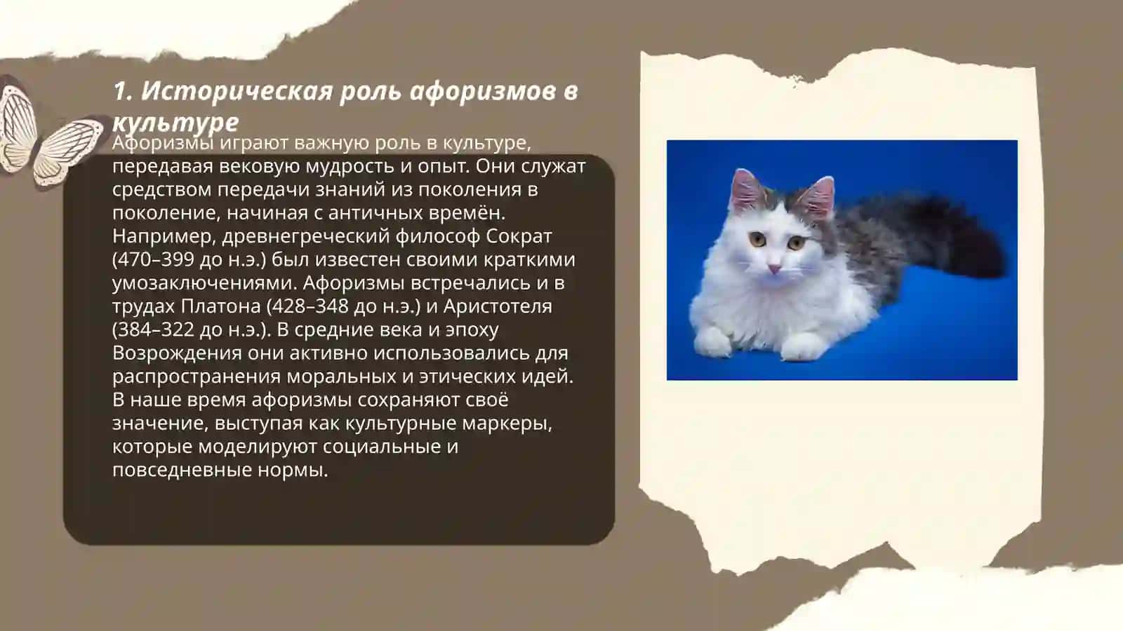 Национально-культурная семантика языковых афоризмов 3