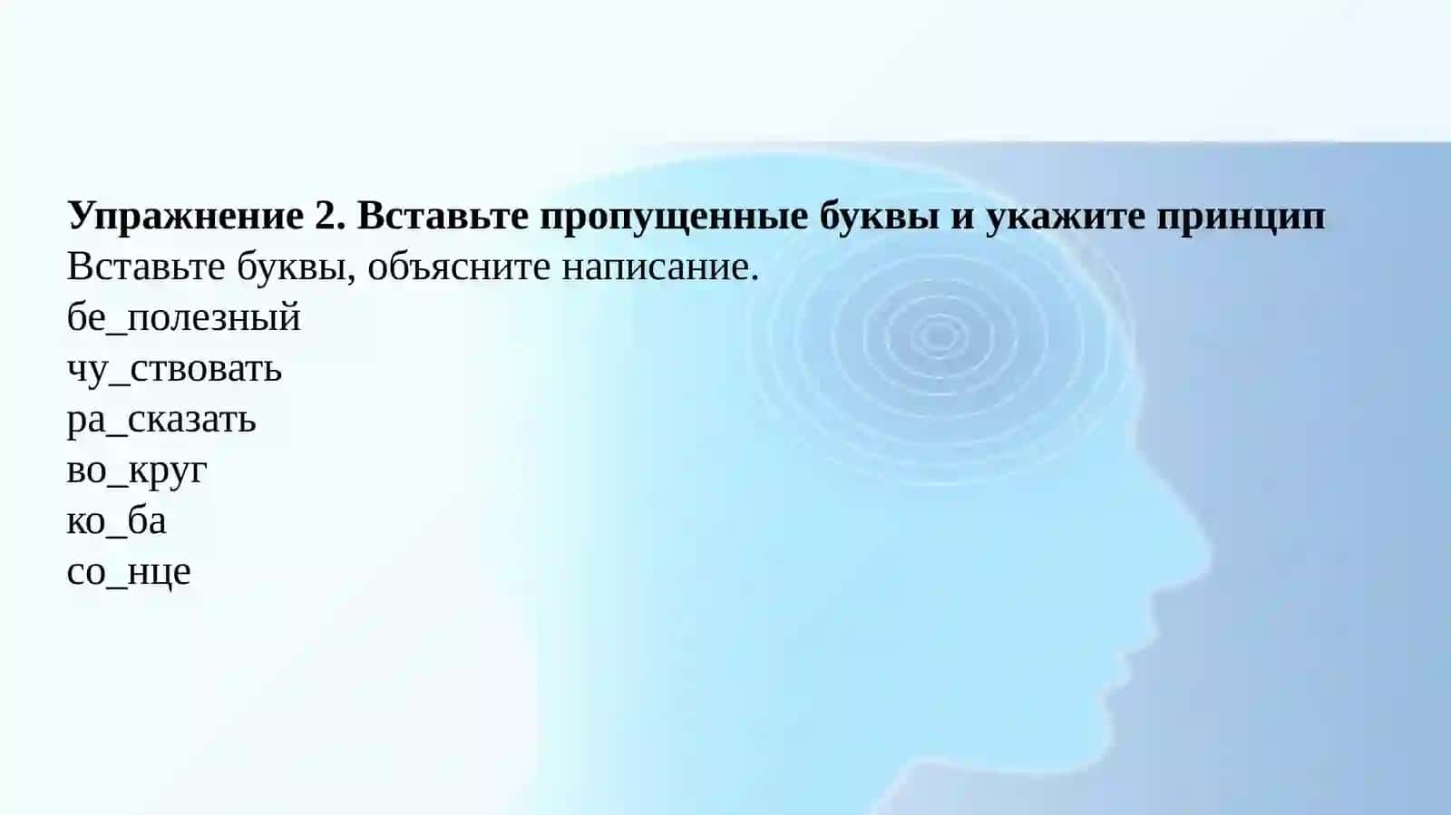 Принципы русской орфографии 3