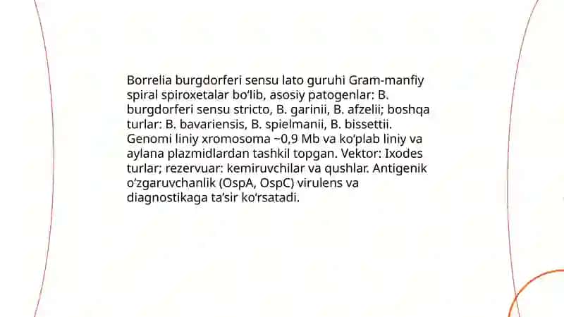 Borrelioz. Etiologiya, epidemiologiya, patogenez, klinika, laborator diagnostikasi, davolash va profilaktik chora-tadbirlar 3