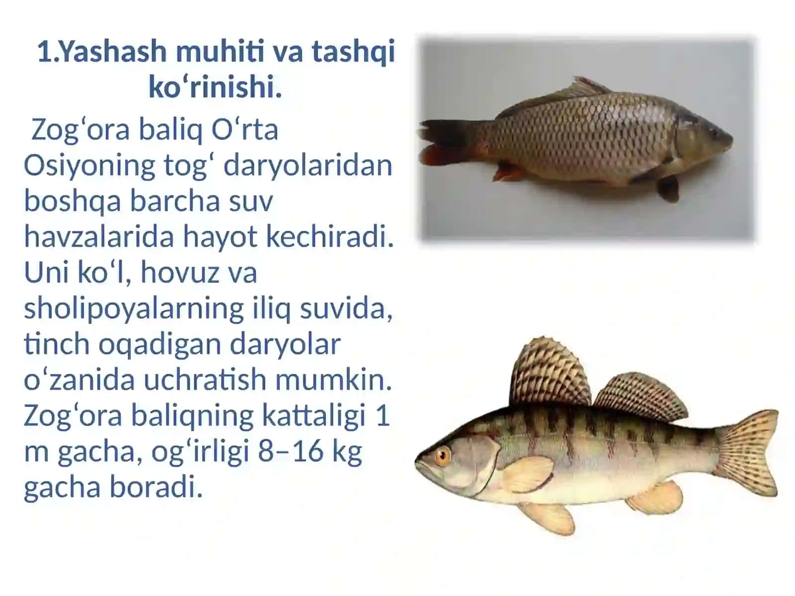 7-sinf zoologiya darsi 3