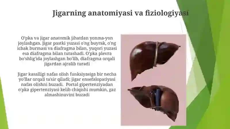 O'tqopi va jigar 3