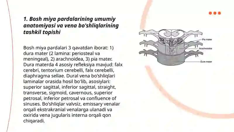 Bosh miya pardalarining vena bo'shliqlari va sisternalari 3