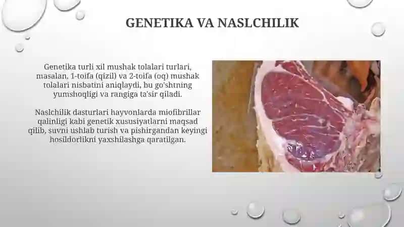 Go’shtning sifatiga tasir etuvchi omillar 3