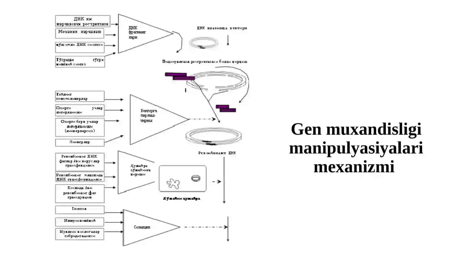 Hujayrabiotexnologiyasi 3