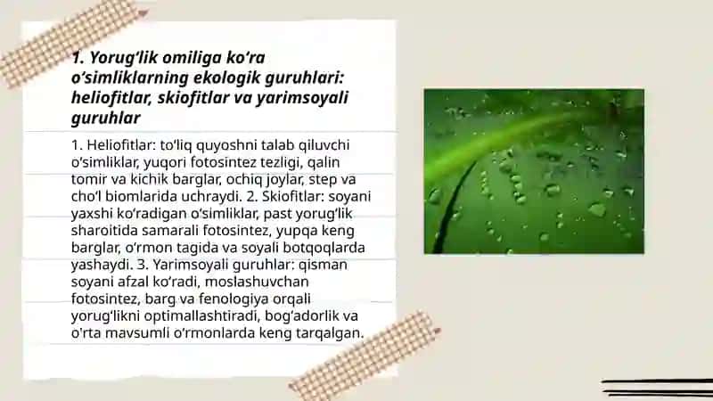 Oʻsimliklarning ekologik guruhlari 3