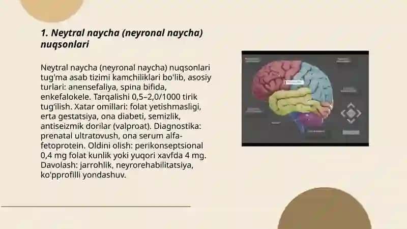 Neytral naycha (neyronal naycha) nuqsonlari 3