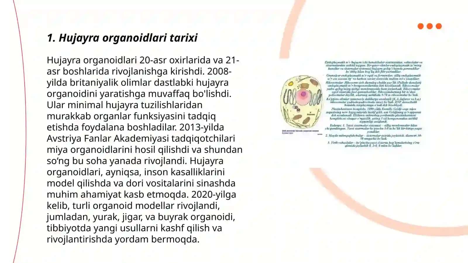 Hujayra organoidlari 3