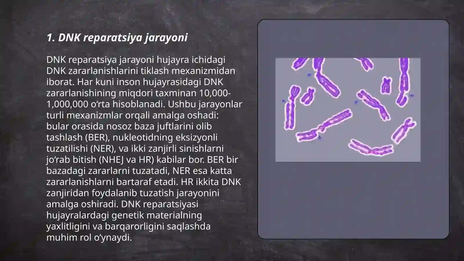 Reparatsiya fermentlari faoliyati 3