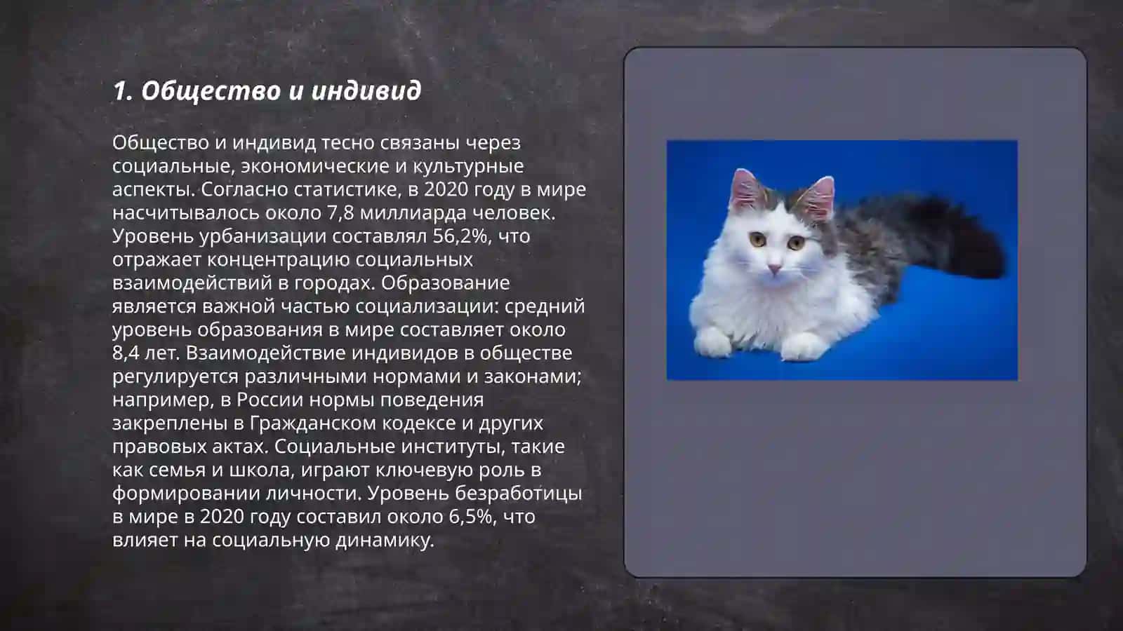 Философия общества 3