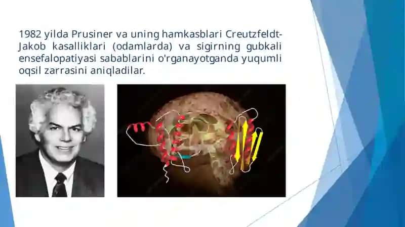 Prionlar to'g'risida hikmatli so'zlar 3