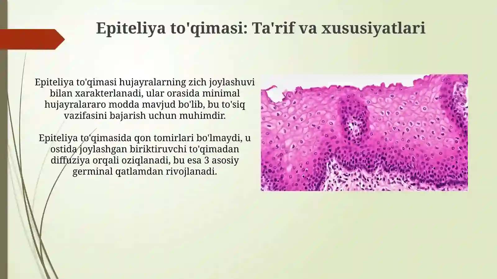 Epiteliytoqima 3