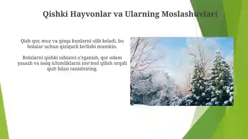Qishki Hayvonlar va Ularning Moslashuvlari 3
