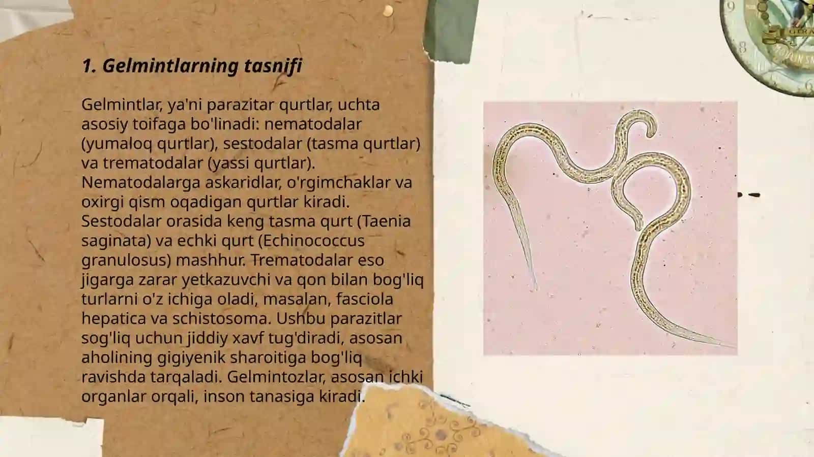 Tibbiyot gelmintologiyasi 3