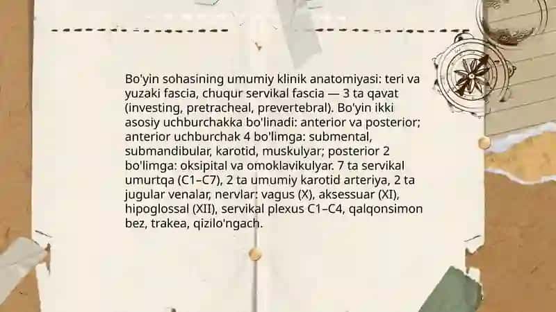 Bo'yin sohasining klinik anatomiyasi 3