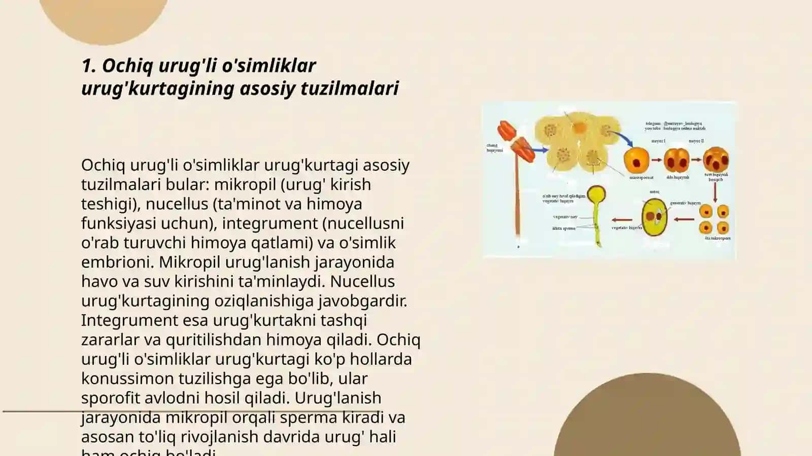Urug'kurtaklarining Tuzilishi 3