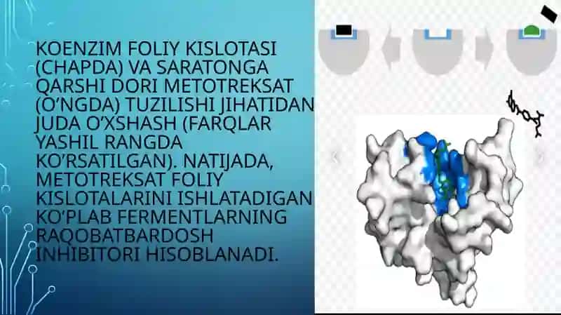 fermentliBiosenorlar 3