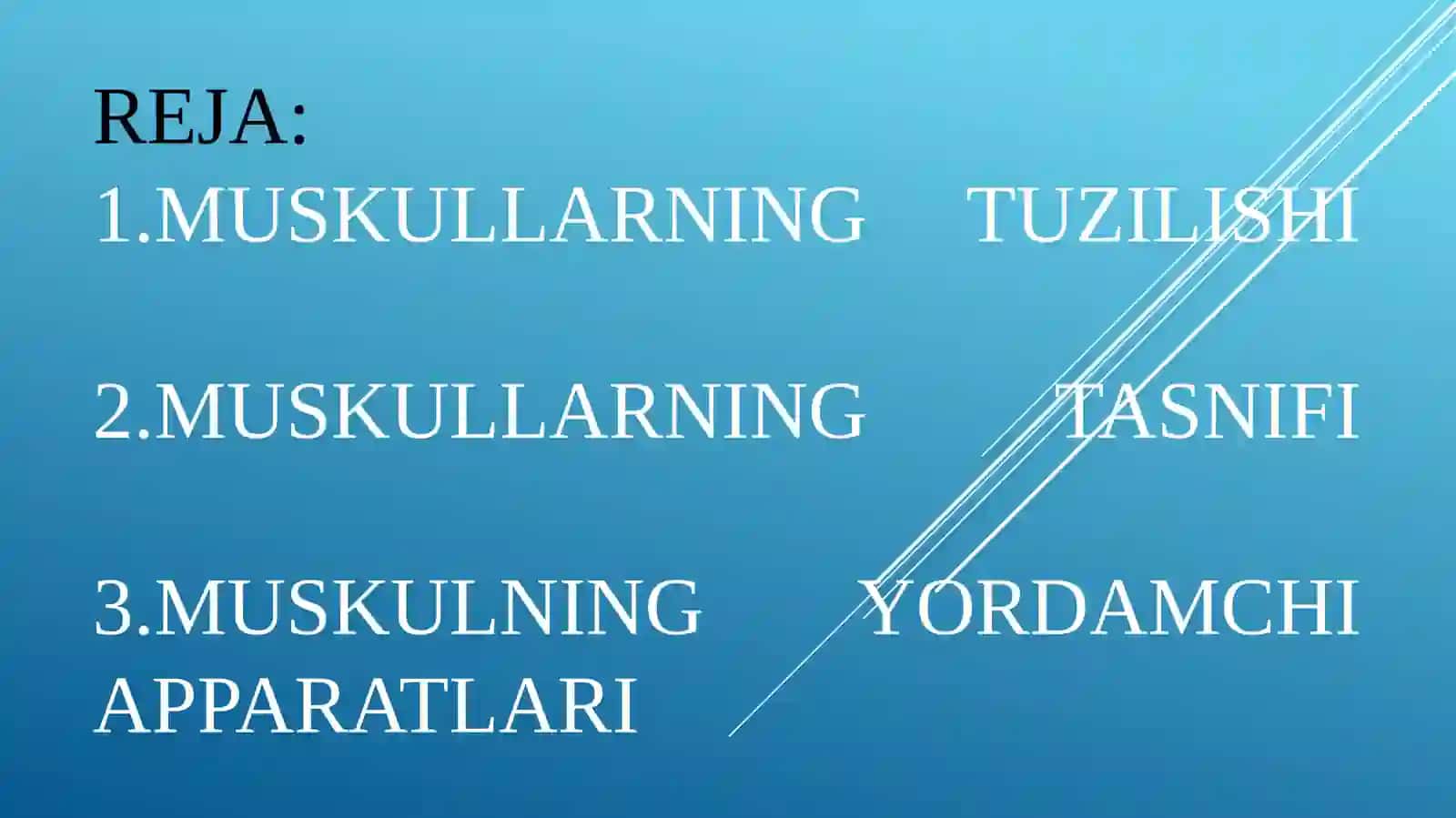 Muskullarning tuzilishi 3