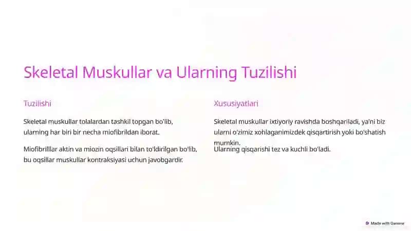 Muskullar Fiziologiyasi 3