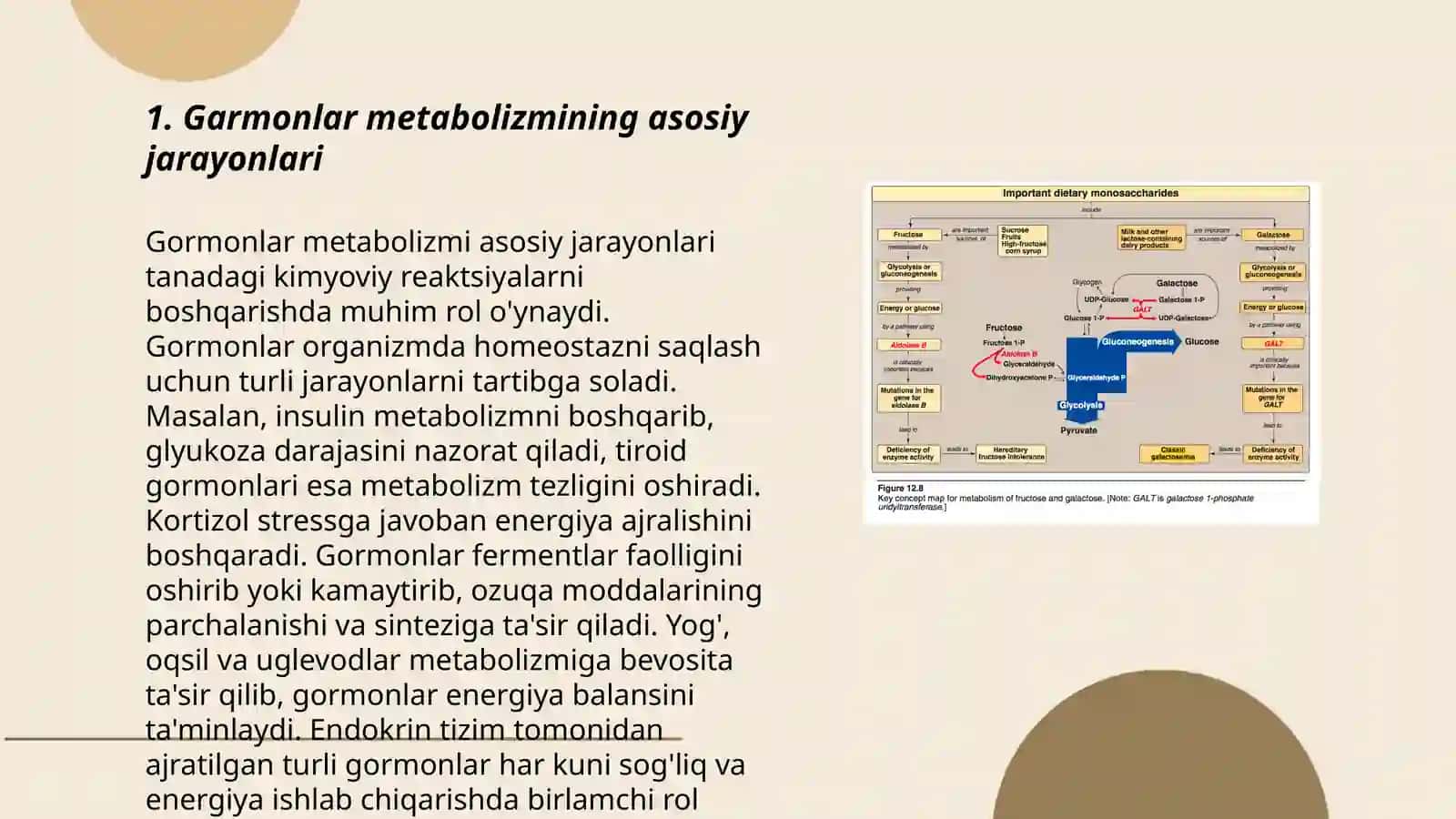 Garmonlar metabolizmini buzilishi 3