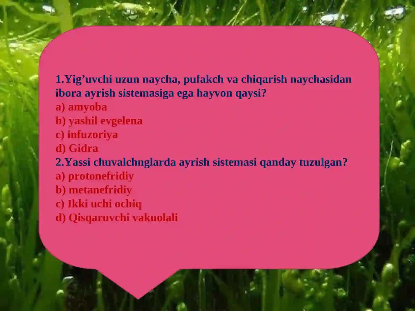 Hayvonlar jinsiy organlarining evolyutsiyasi 3