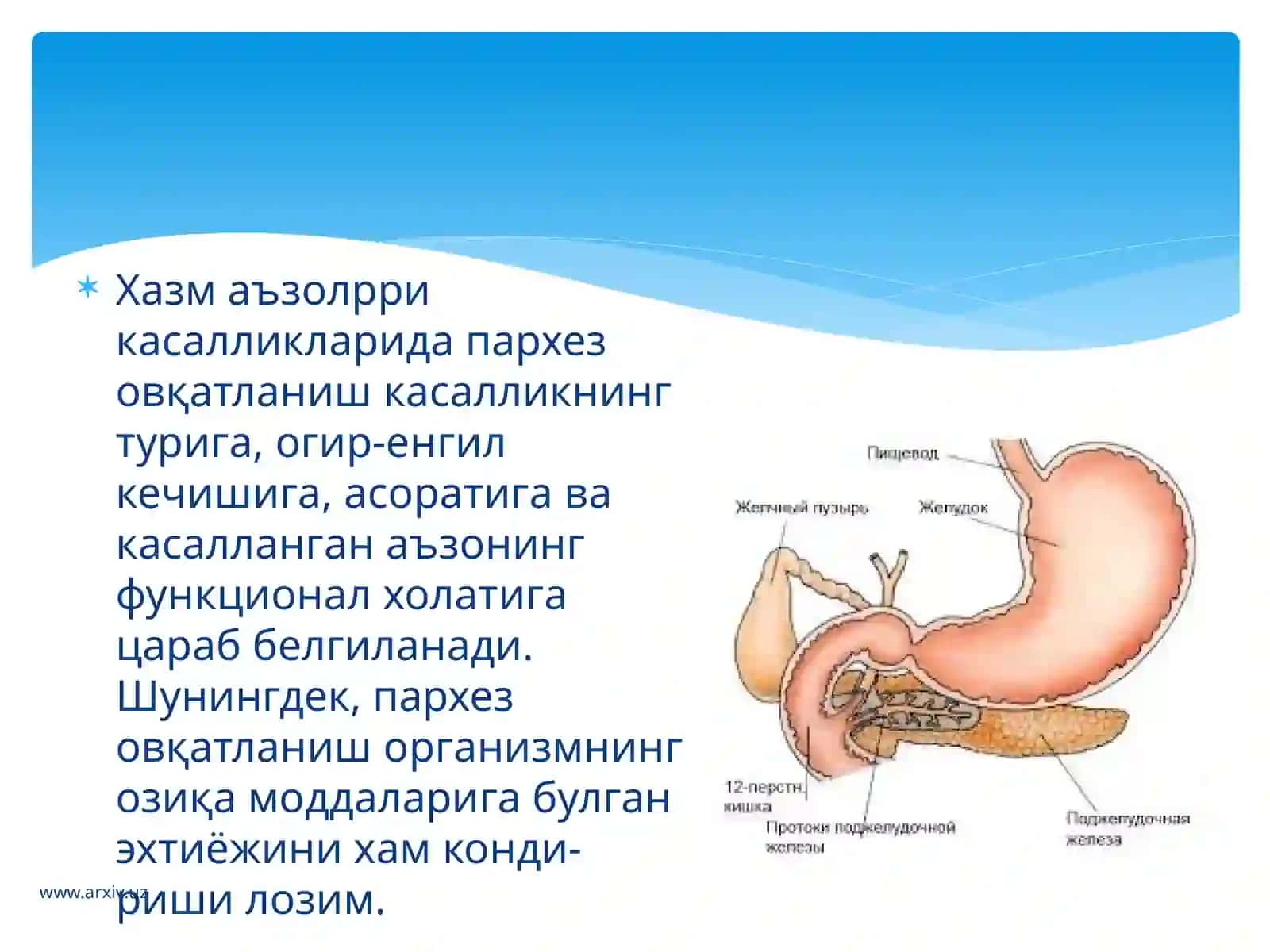 Хазмаъзоларикасалликлари 3