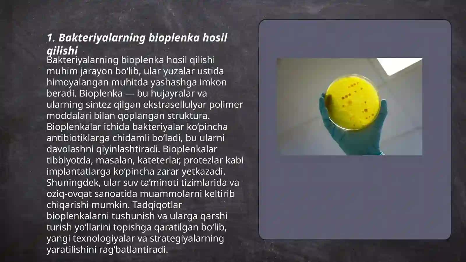 Bakteriyalarning bioplenkasi 3