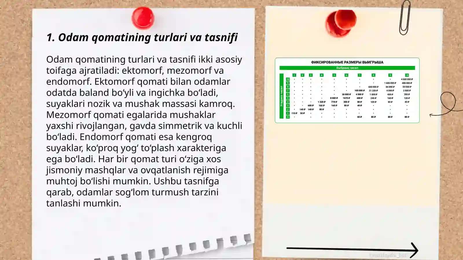 Odam qomatining turlari va tasnifi 3