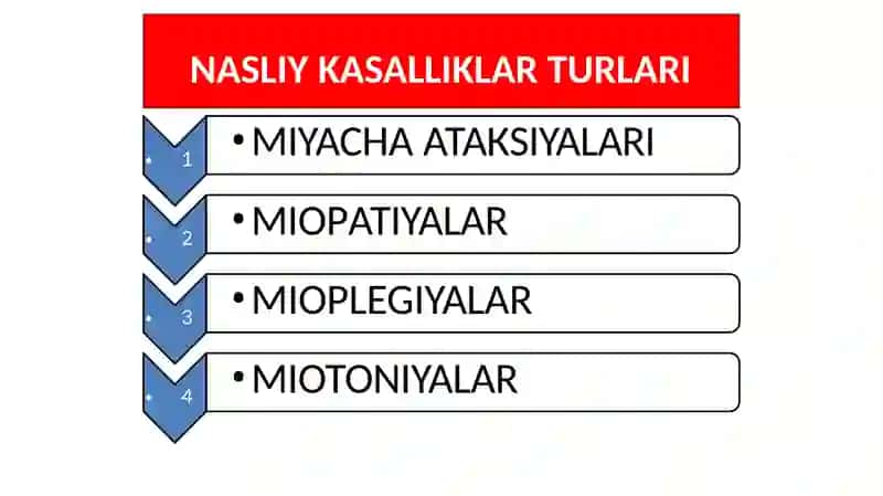 Nasliyasabkasalliklari 3