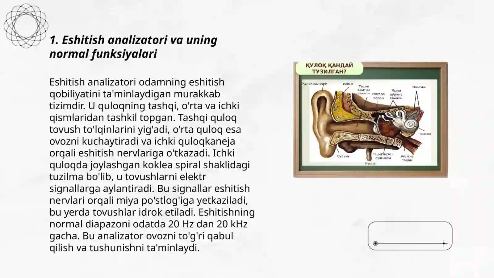 Eshitish analizatorlarining patalogiyasi 3