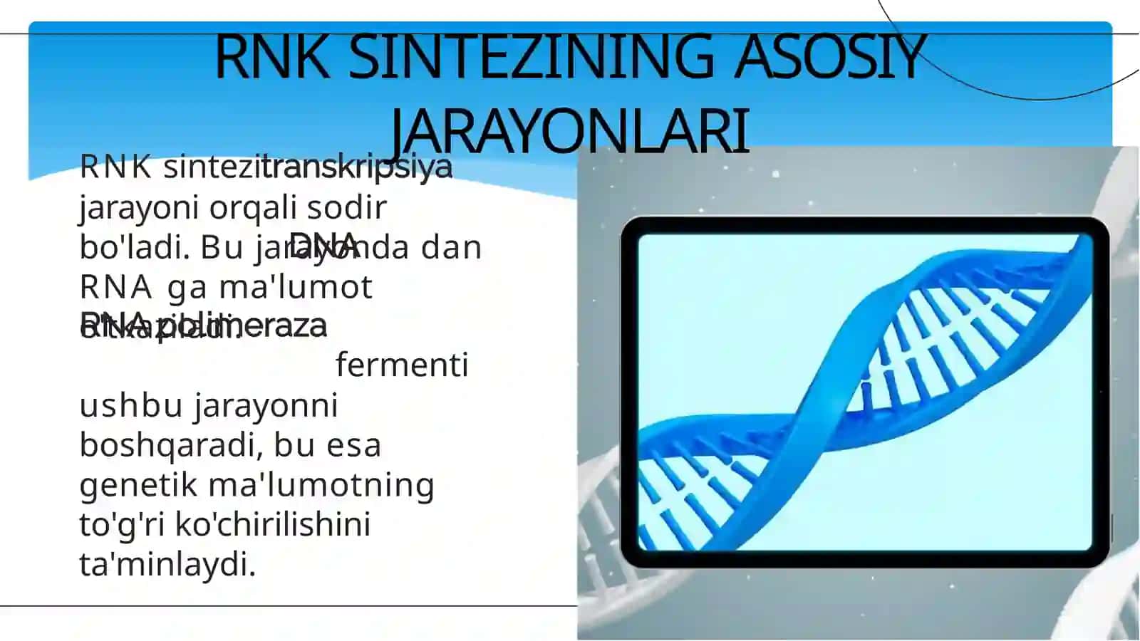 RNK Sintezi 3