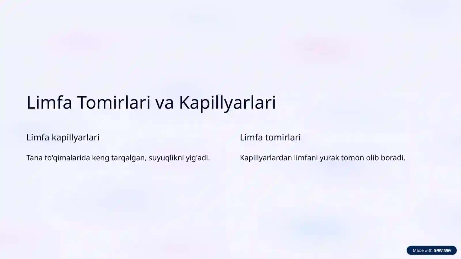 Limfa Sistemasi (Anatomiya) 3